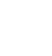 4.9% corporate income tax